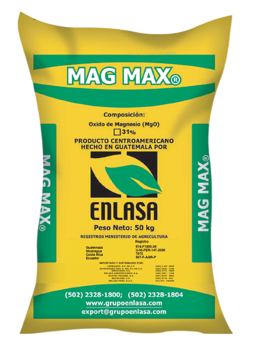 Magmax